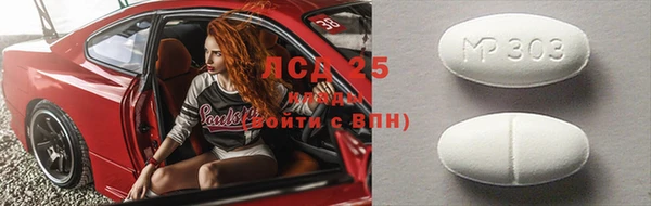 крисы Алзамай