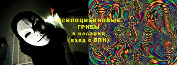 крисы Алзамай