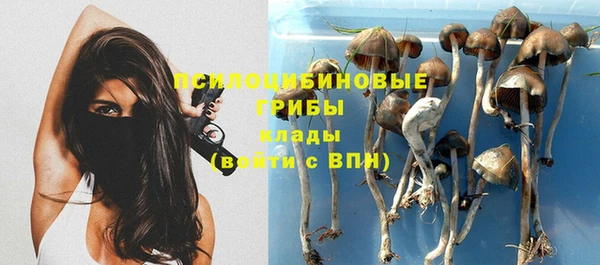 крисы Алзамай
