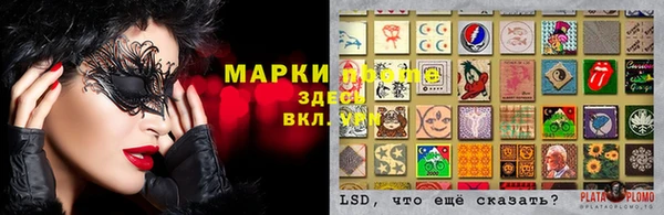 крисы Алзамай