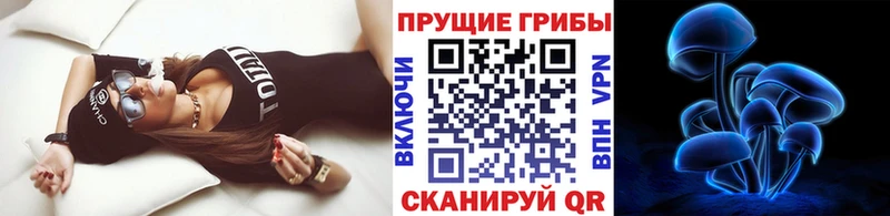 где купить   Гуково  Галлюциногенные грибы мицелий 