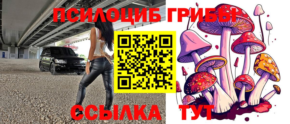Галлюциногенные грибы мухоморы Гуково