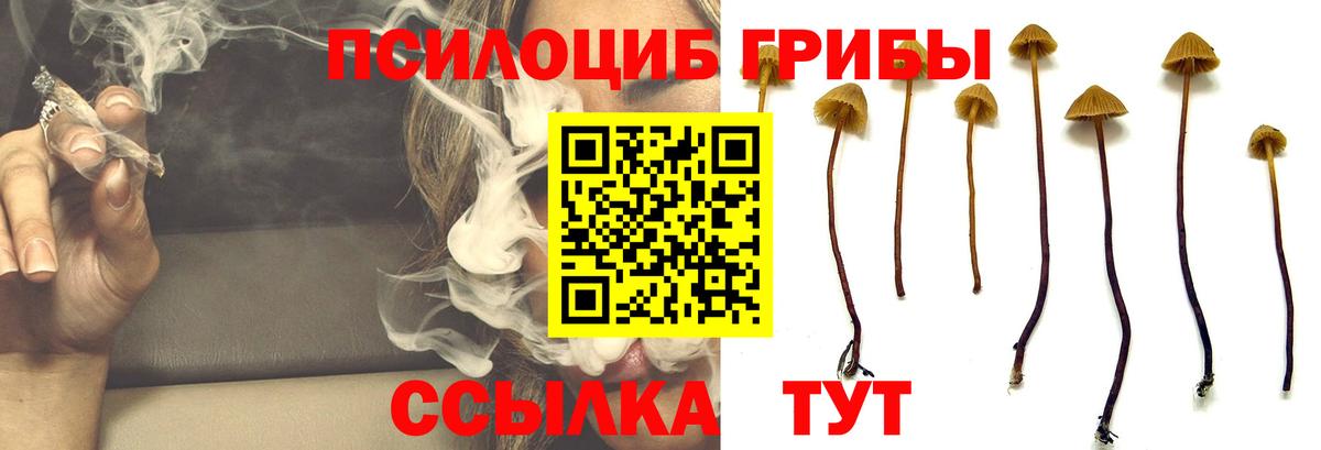 Галлюциногенные грибы мицелий  купить наркоту  Гуково  Вход с VPN 